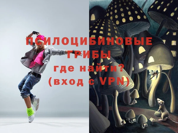 гашик Волосово