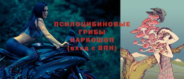 гашик Волосово