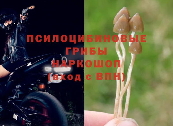 стаф Волоколамск