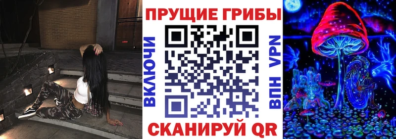 Купить где  Нальчик  Псилоцибиновые грибы Magic Shrooms 
