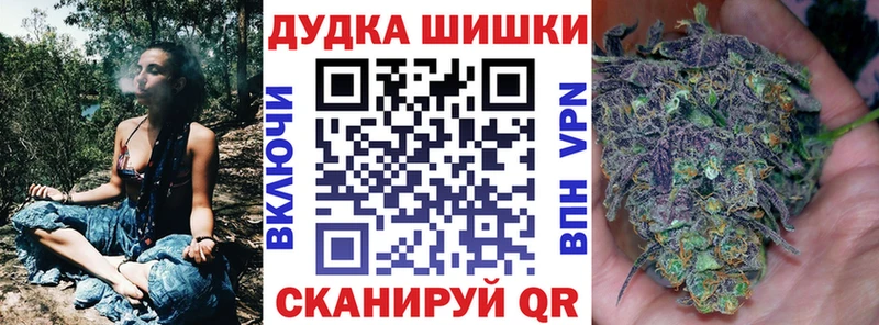 Купить закладки  Нальчик  Каннабис сатива 